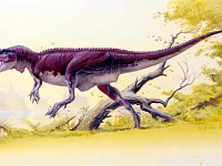 Afrovenator