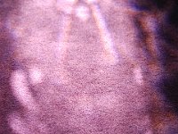 Untitled-19 : November angel