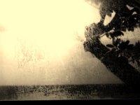 Untitled-6